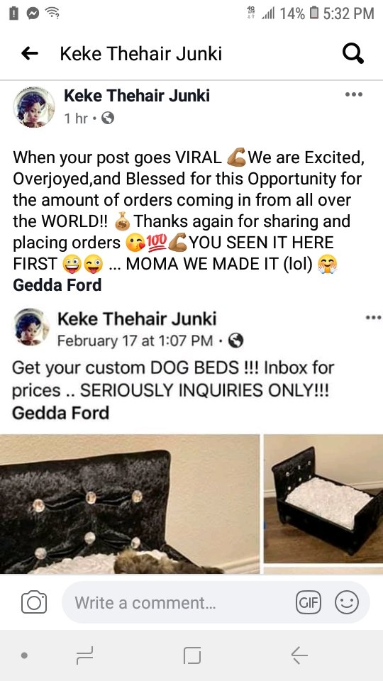 Gedda Ford tweet media
