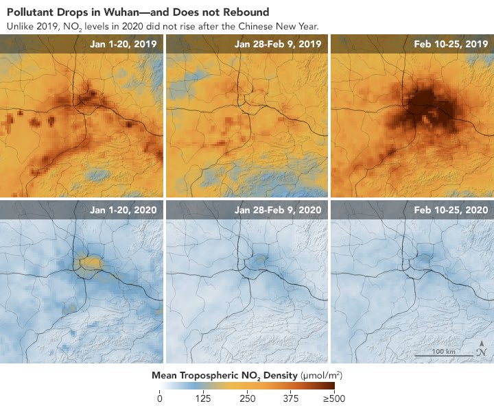ParveenKaswan's tweet photo. An eye opener. 

NASA pollution monitoring satellites have detected significant decreases in nitrogen dioxide (NO2) over China. A noxious gas emitted by  vehicles &amp; industries. Showing a direct relation between Wildlife trade (which is banned now), Health, Economy &amp; Environment. https://t.co/KNxH0nB23e