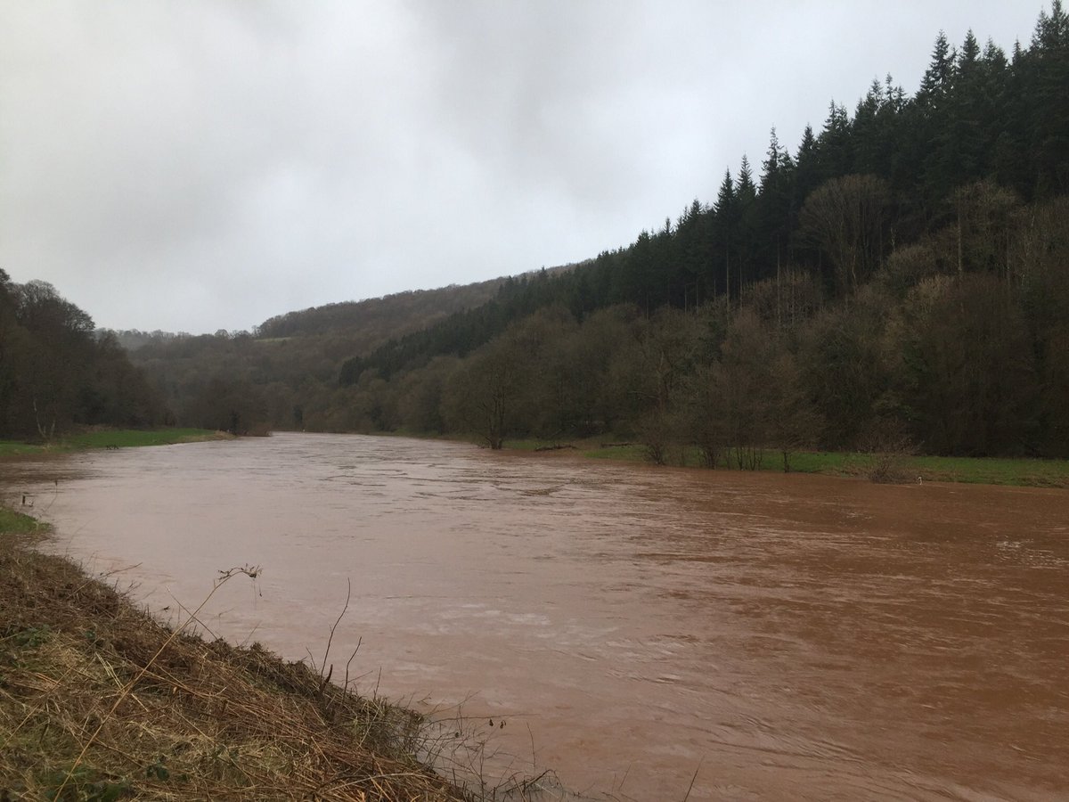 hadnock's tweet photo. The river’s rising again. #penallt #whitebrook #wyevalley https://t.co/iJL59btKzR