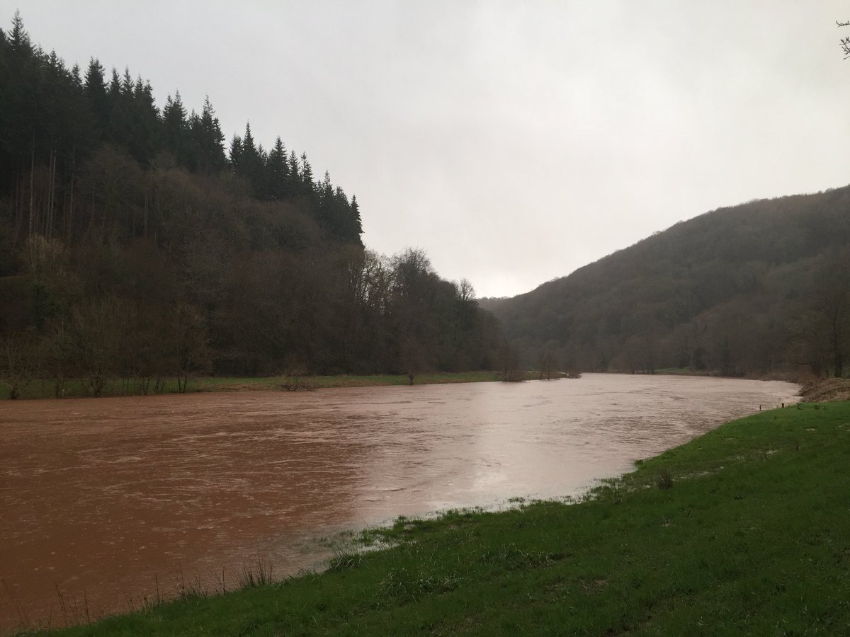 hadnock's tweet photo. The river’s rising again. #penallt #whitebrook #wyevalley https://t.co/iJL59btKzR