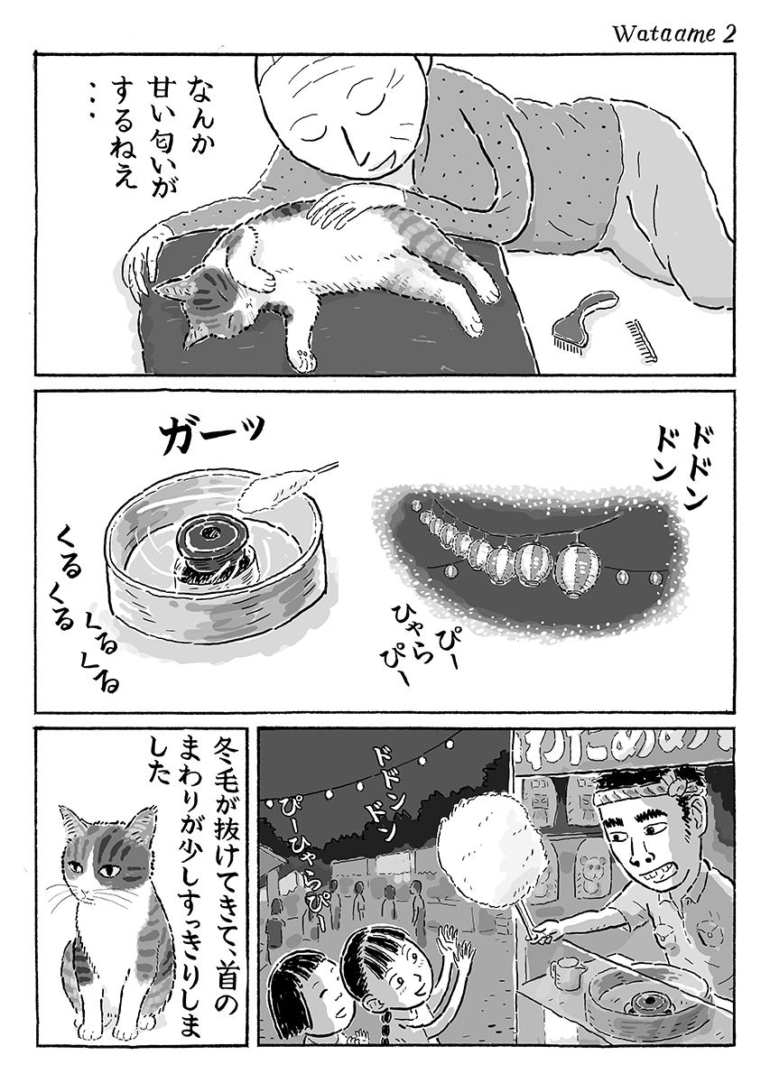 2ページ猫漫画「春のわたあめ」 #猫の菊ちゃん 