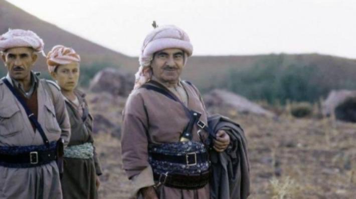 SelkiBahjat tweet picture