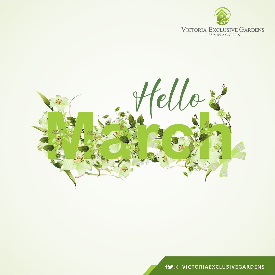 VictoriaExclus1's tweet photo. Let's help you March into your Dream Home. 😊😊

Happy New Month from Us 🏡🏡🏡

#dreamhomeexperts #dreamhomeprovider #victoriaexclusivegardens #veg #portharcourt #investwiththebest #newmonth https://t.co/j7rnmZPUj5