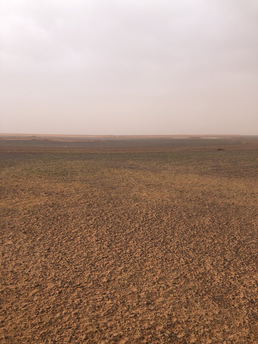 Saudalsahli Saudalsahli2030 Twitter