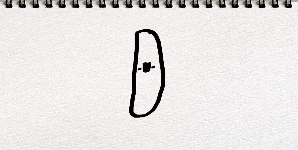 こっちは甘い柿の種です 