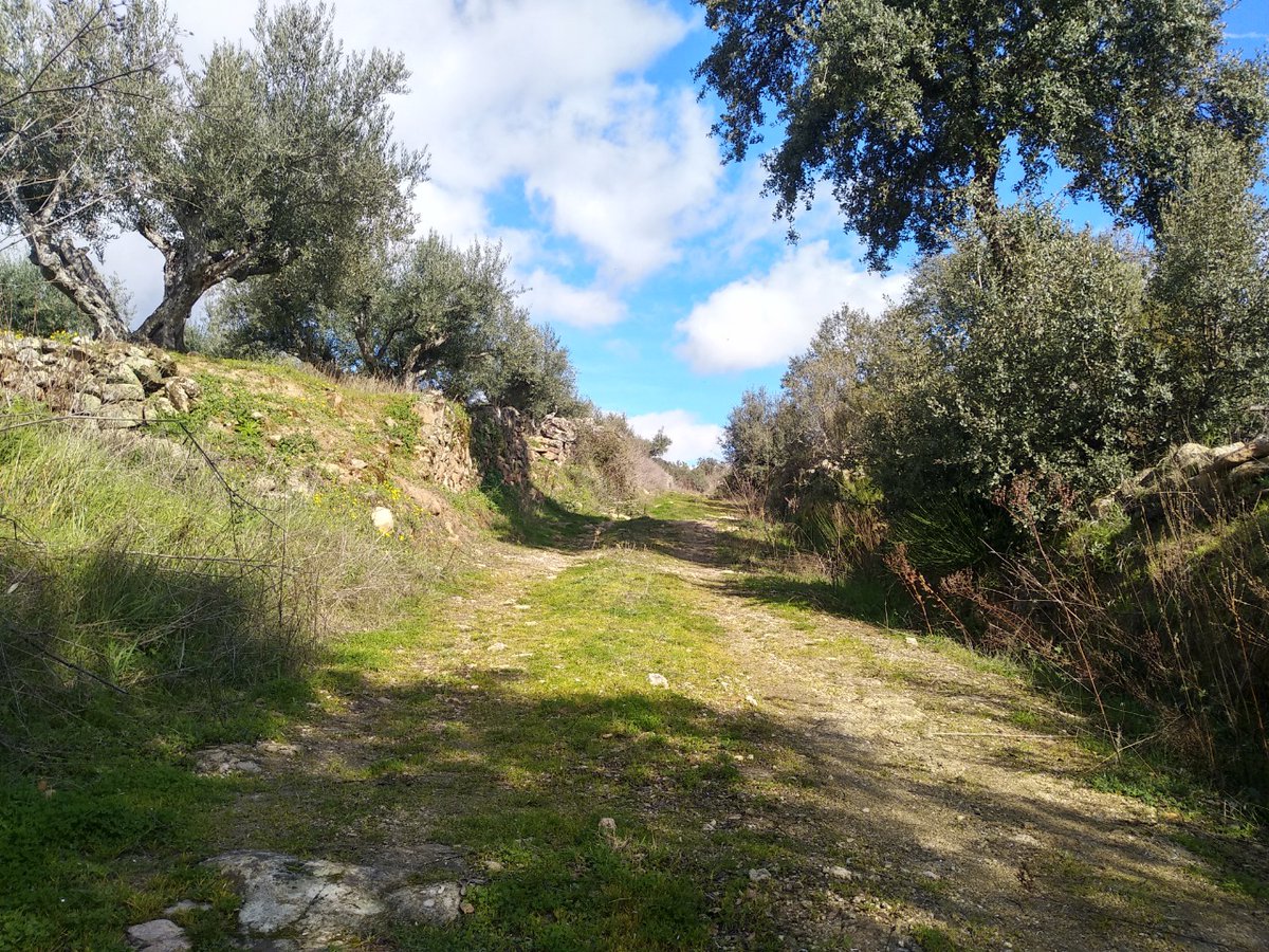 los_pago's tweet photo. Disfrutando de esta mañana de domingo por los caminos de #Fermoselle. #AOVE #EVOO #Zamora #CyL #LosArribes #naturaleza #AceiteDeOliva #Diseño #bellezanatural https://t.co/Bk3vQG5PgQ