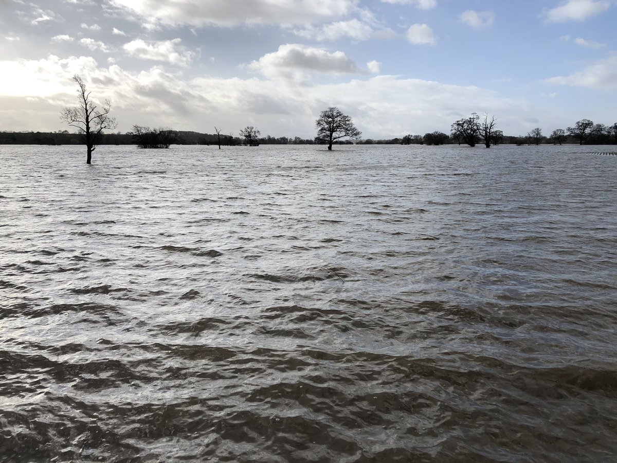 DaveThroup's tweet photo. It’s impossible to convey just how much water there is now in the Severn floodplains south of #Worcester 

Mile upon mile of water. https://t.co/HnkdrCFpuI