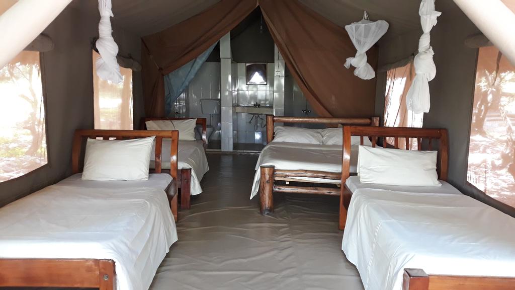 Our new member Enchoro Wildlife Camp. Offers three different styles of safari camp. Thanks for joining. 👍 Let's show the world a exceptional way to stay.

Masai Mara, Narok, Kenya.

justbedandbreakfast.net/property/encho…

#bedandbreakfast #guesthouse #hotel #inns #hospitality #stay #hotels