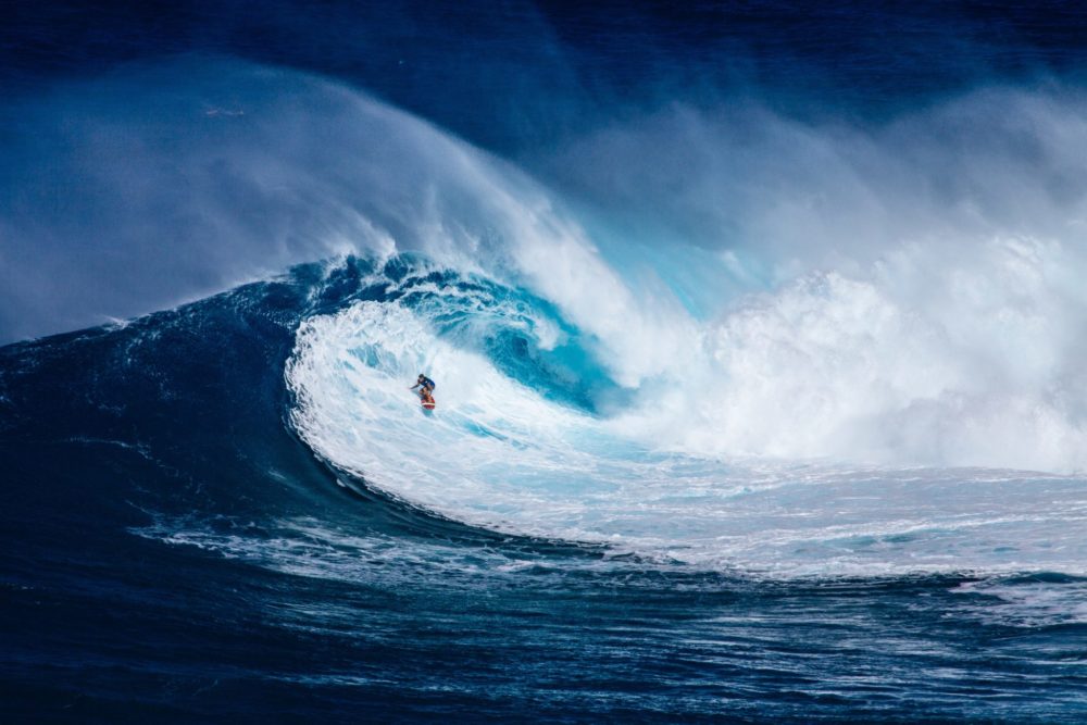 surferrulemag's tweet photo. "Un minuto que pasa es irrecuperable. Conociendo esto... ¿Cómo podemos malgastar tantas horas?"
Buenos días, buena jornada de domingo.
Foto en #Freejpg.
https://t.co/GreYco6d4a
https://t.co/ewJplxKeM9 https://t.co/bGLk1ieHrS