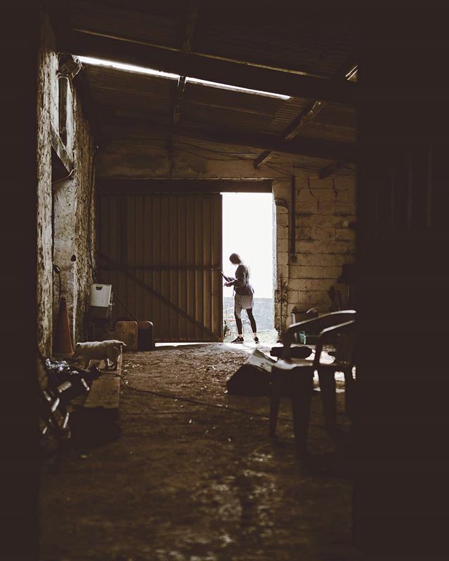 DigitalPatternLibrary tweet media