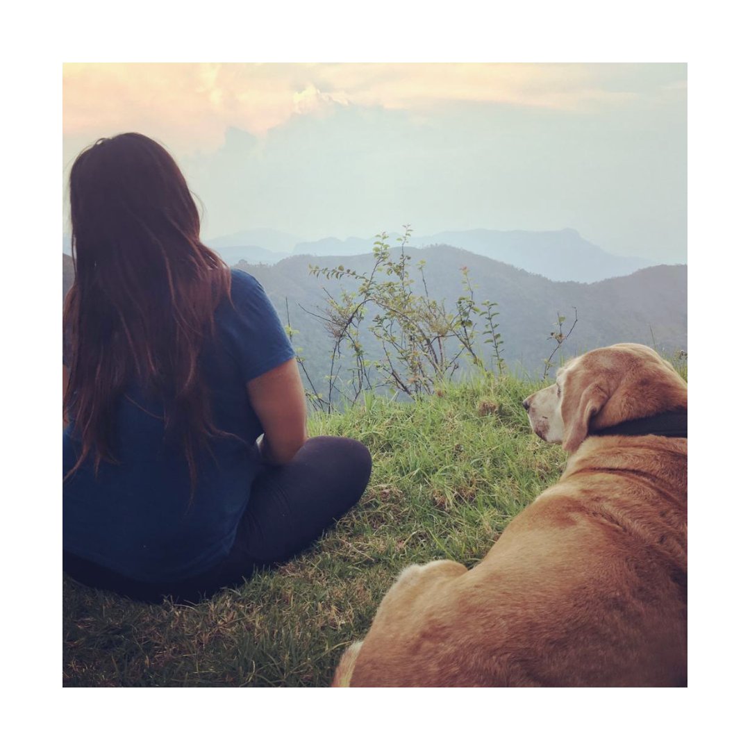 Feels like Sunday
#sustainablefashion #sustainableliving #sustainableclothing #gogreen #tshirt #bambootshirt #bambooclothing #ditchandswitch #bambooindia #slowfashion #ecodry #ecoconscious #bamboo #ecofriendly #bambootribe #bamboofabric #dogstagram #dogsofinstagram #hills