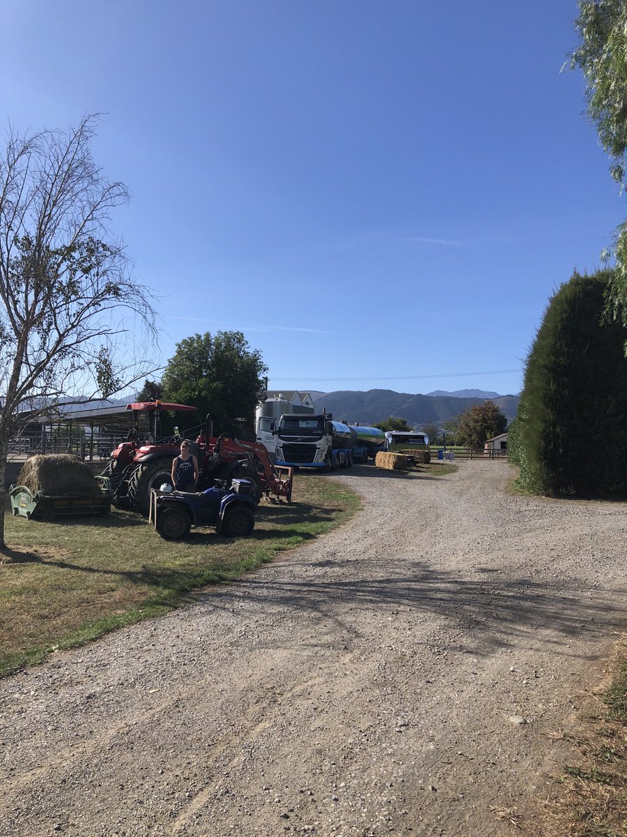 FarmingKingsway's tweet photo. Openfarm introducing people to their food source https://t.co/vhAuubV05M