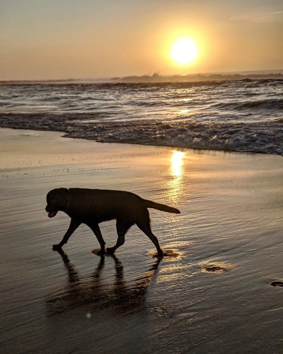 tj_author's tweet image. 