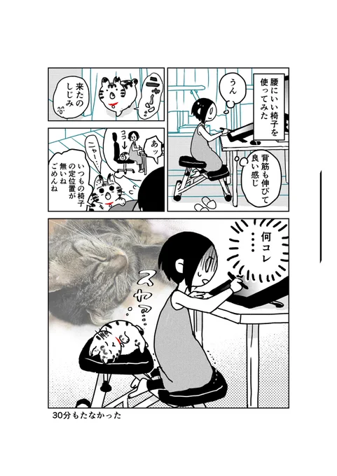 猫飼いました73 
