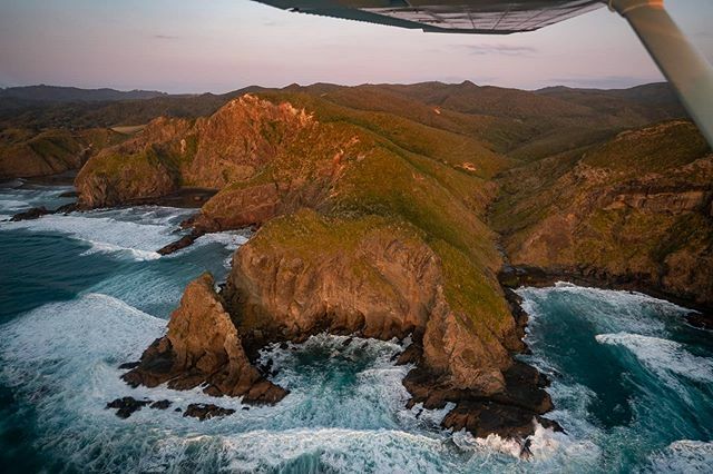 TalmanMadsen's tweet photo. Nothing like an evenings scenic flight down Aucklands West Coast! This place is seriously beautiful - check out all those sea caves! 😍🌊🌅✈️📸 https://t.co/CqmZDLbHDg
