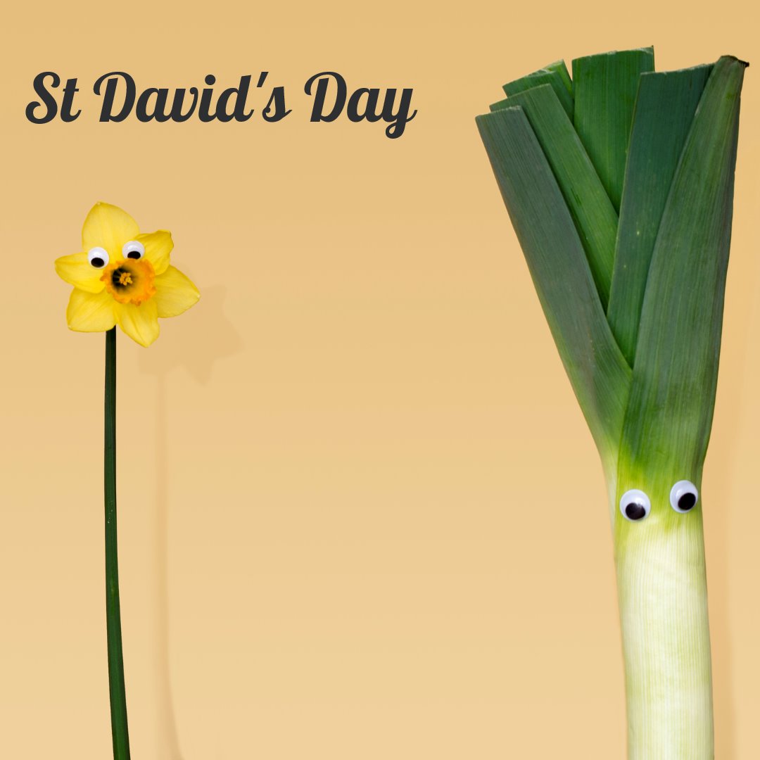 Happy St David's Day!