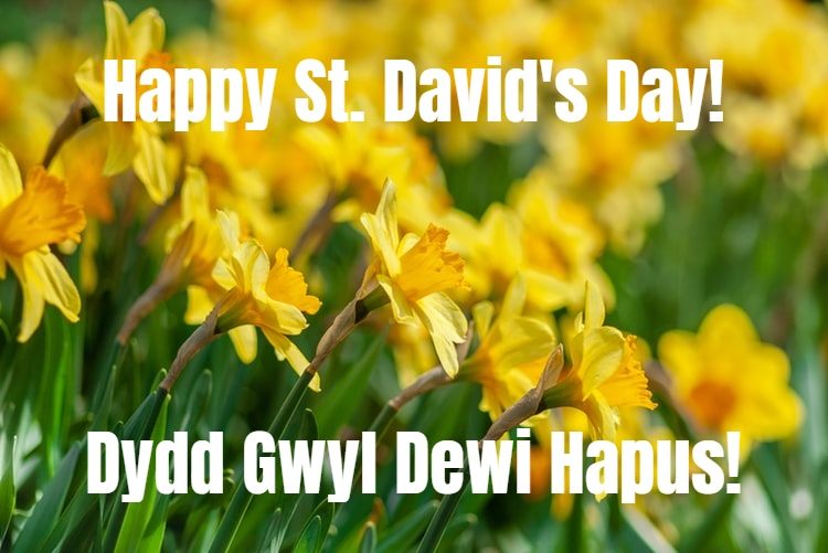 ParcTaweRetail's tweet photo. Happy St David's Day to all our lovely followers! 😀

#ParcTawe #ParcTaweRetailPark #Swansea #Wales #Shopping #StDavidsDay #HappyStDavidsDay #DyddGwylDewiHapus https://t.co/VO6am8H1FL