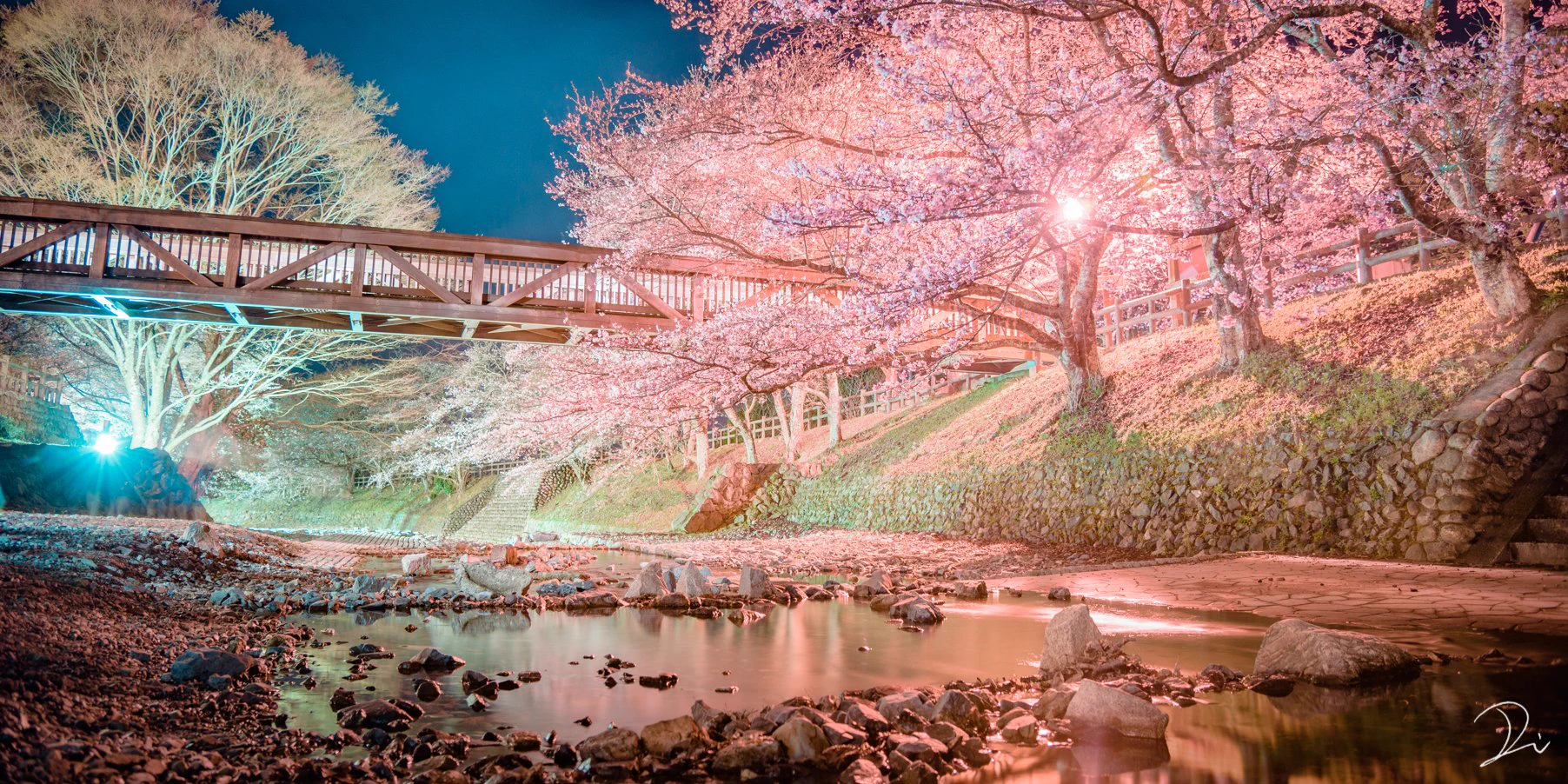 桜写真や絵でタイムラインに花を咲かせてみませんか？家に閉じこもりっきりで滅入る気持ちを少しでも楽に！
