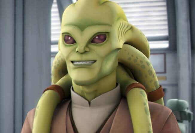 見た目はイロモノだけど、かなり強くてカッコいいジェダイ・マスターの