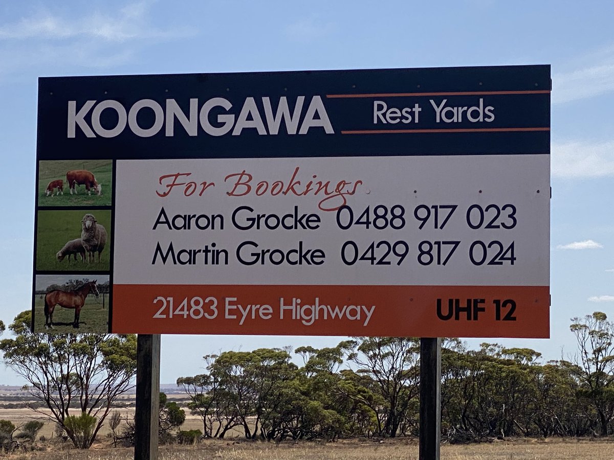 GrockeAaron's tweet photo. If you need to spell or rest and feed your livestock coming threw SA, give us call to book it them in, has been a bit bissy lately https://t.co/x42B9A9axw