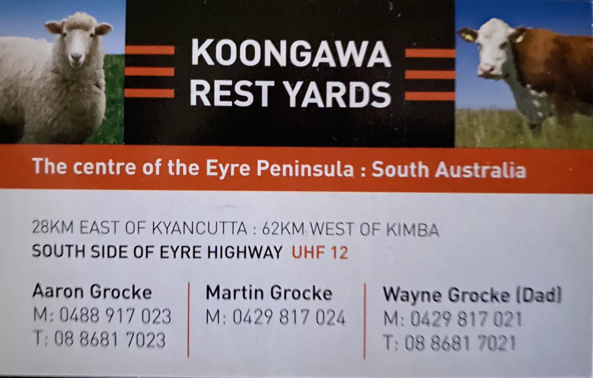 If you need to spell or rest and feed your livestock coming threw SA, give us call to book it them in, has been a bit bissy lately