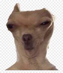 idea.meme tweet media