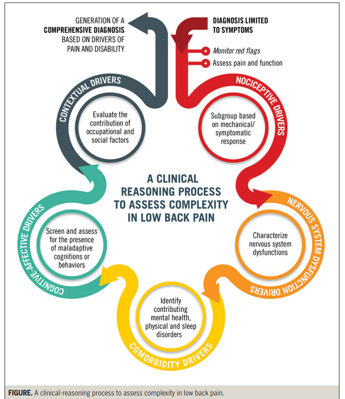 PhysioMeScience's tweet photo. Driving the Musculoskeletal Diagnosis Train on the High-Value Track 

💪👀👇👇👇

https://t.co/NgCKIAPRBR https://t.co/aNAA8lJGrB