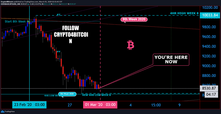 crypto4bitcoin's tweet photo. WEEK 8 IS OVER WELCOME TO WEEK 9
BITCOIN $8530
#Crypto4Bitcoin #forex #money #bitcoin #trading #entrepreneur #forextrader #success #investment #invest #wallstreet #wealth #finance #luxury #business #stocks #broker #fx #investor #Forexcaster #investing #forexsignals #crypto… https://t.co/jQLYA4mma3