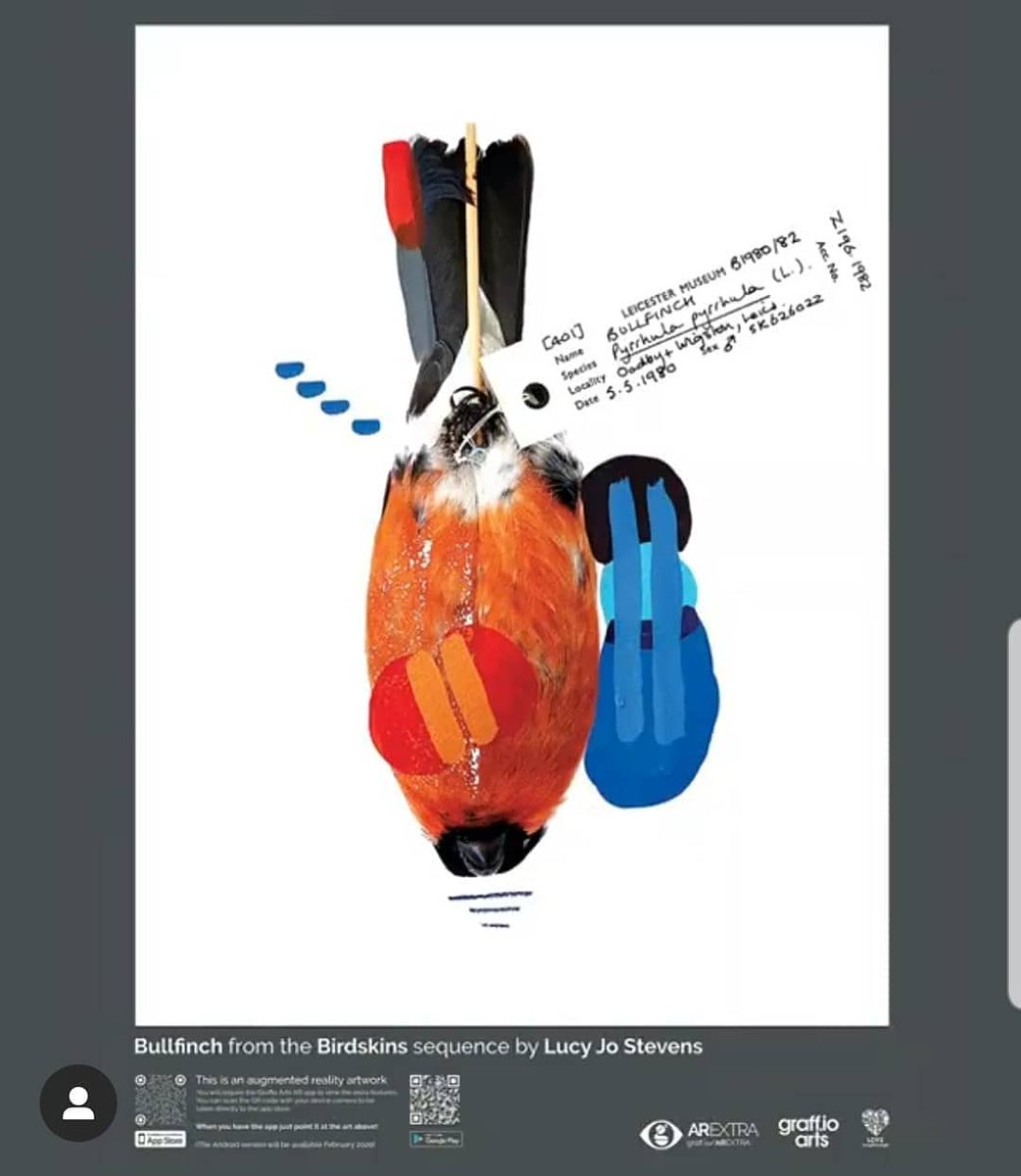 Lucy Stevens tweet media