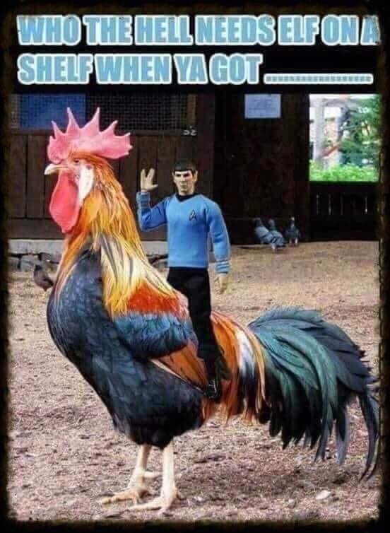 This struck me so funny <a href="/rriproarin/">GPop (my friends call me Prettyface)</a> <a href="/PostMalone/">Post Malone</a>