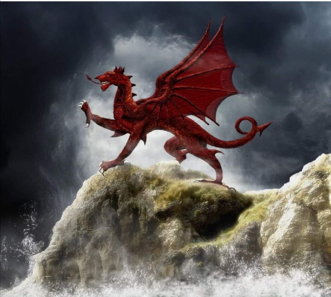 Happy St David’s Day ‘Dydd Gŵyl Dewi Hapus’ 🏴󠁧󠁢󠁷󠁬󠁳󠁿 to all of our Welsh colleagues and those who follow us here. #StDavidsDay