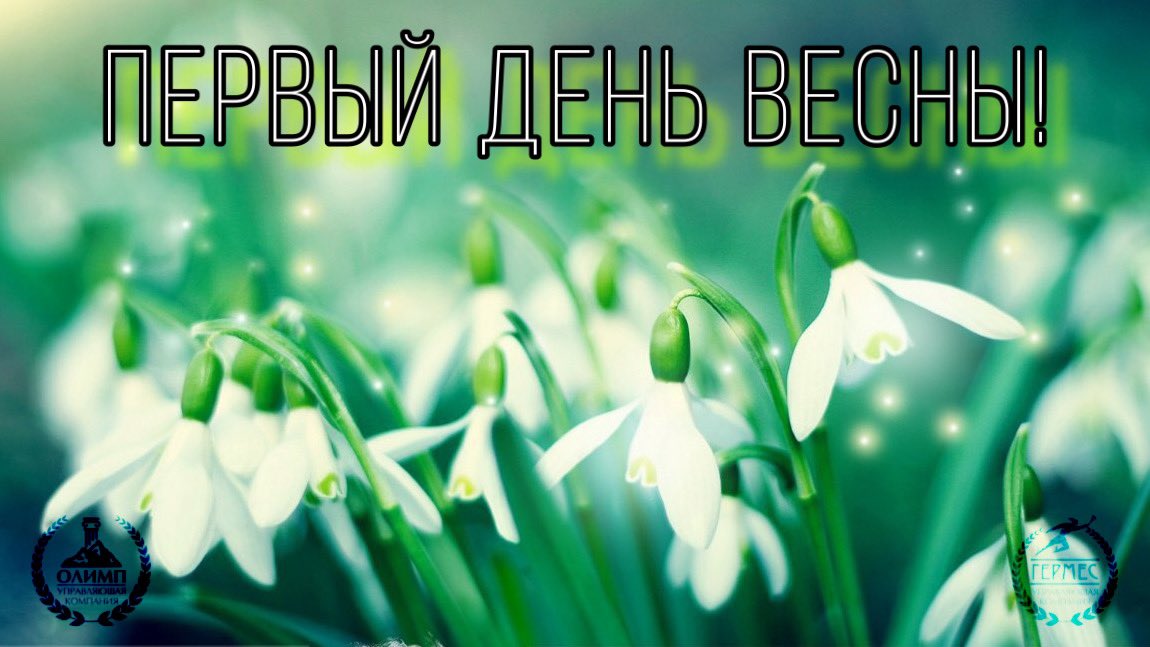 ООО УК"ОЛИМП" (@ukgdrf) on Twitter photo 