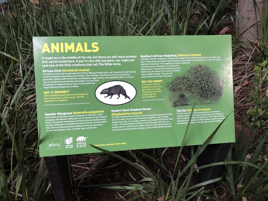 delaneyartist's tweet photo. New knowledge signs at The Wilds, Joburg. 

@JoburgParksZoo @MayorOfJoburg @CityofJoburgZA https://t.co/t9l0ignRbM
