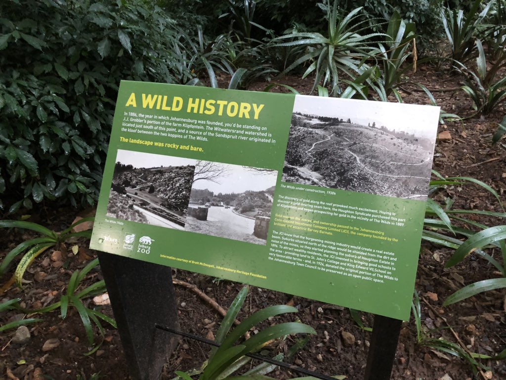 delaneyartist's tweet photo. New knowledge signs at The Wilds, Joburg. 

@JoburgParksZoo @MayorOfJoburg @CityofJoburgZA https://t.co/t9l0ignRbM