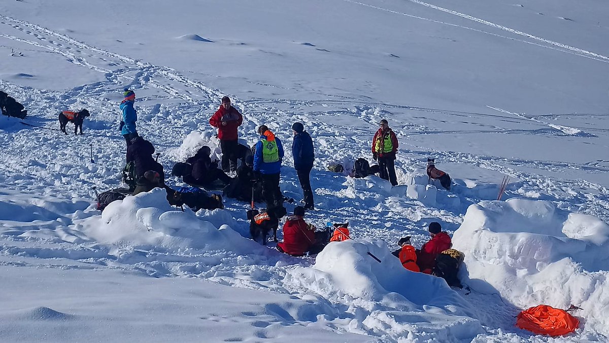 flicybeagle123's tweet photo. What a spectacular week with @lakessearchdogs in #scotland thanks to the instructors from @redningshunder for sharing your knowledge and @burnspetfood for keeping our #searchdogs fuelled up!#mountainrescue #dogsoftwitter #rt #Avalance #cairngorms #snow @Clarko_1 @RickRCWWilson https://t.co/S8UIoGiJJg