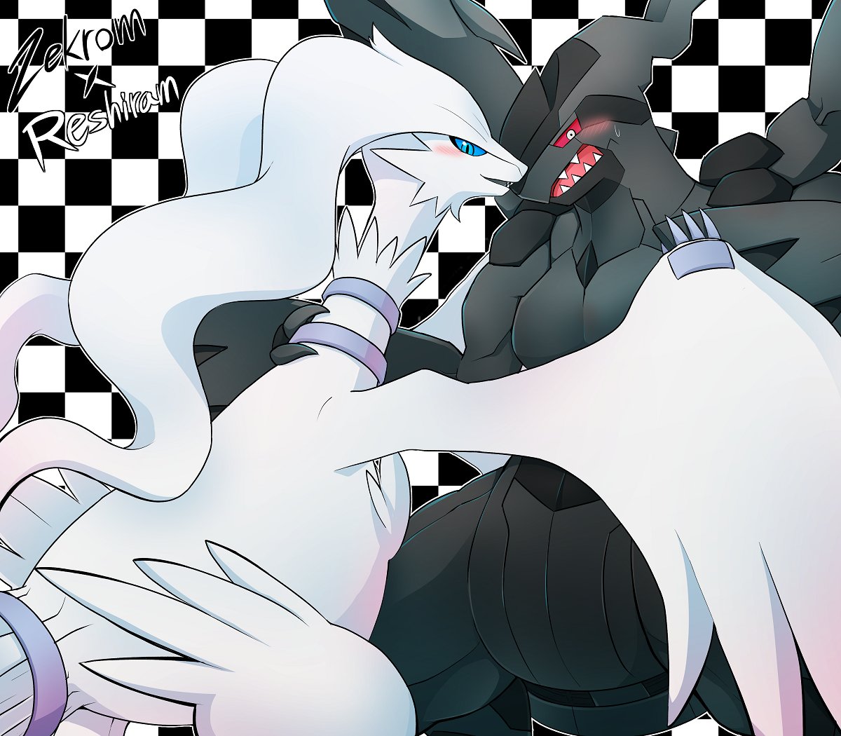 ゼクレシッ！！！！！！！！！！