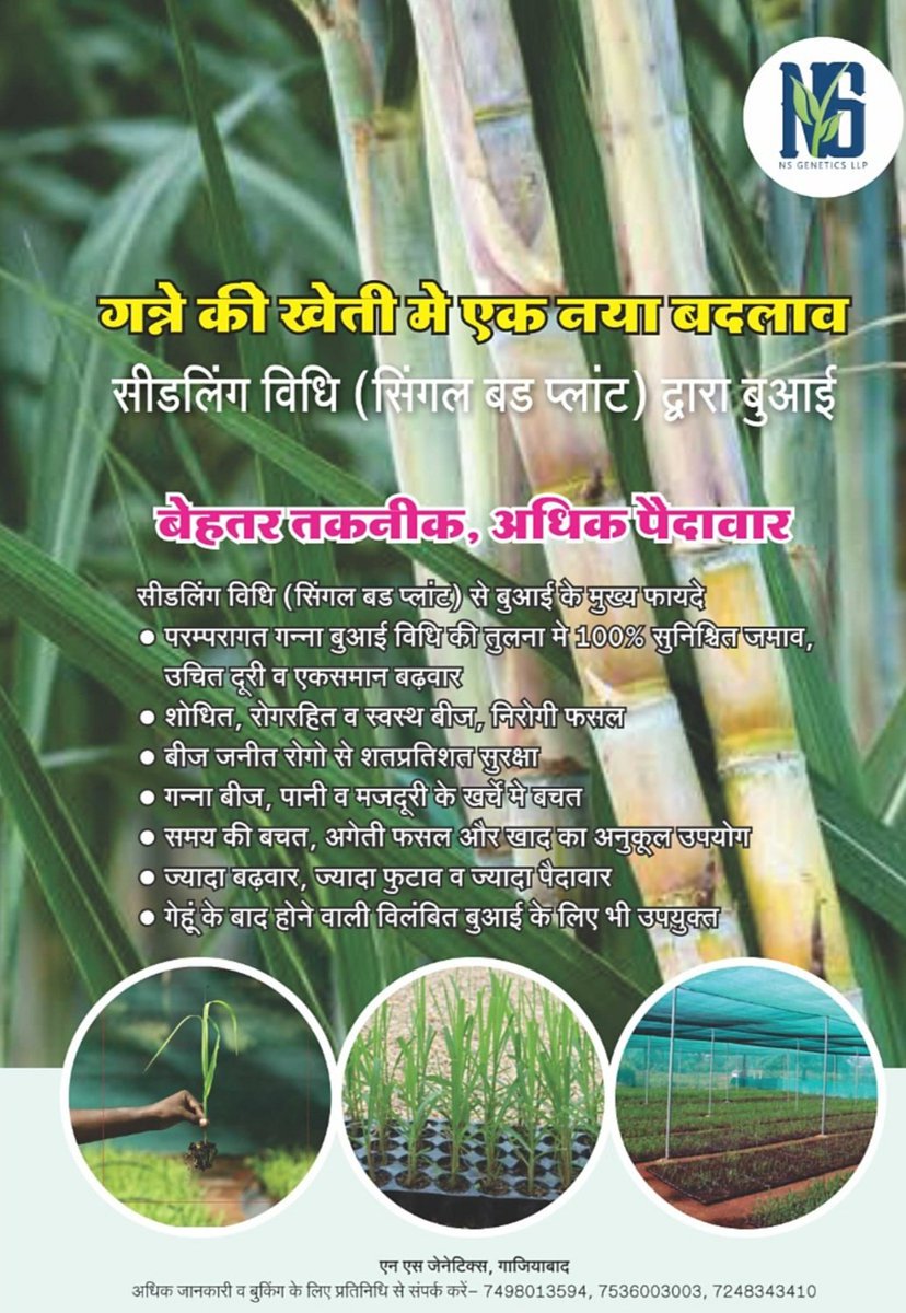 NS Genetics (@nsgenetics) on Twitter photo 