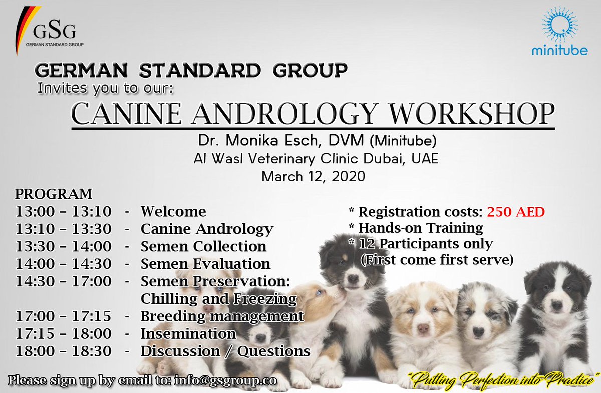 GSGroupco's tweet photo. Preserving and Securing Legacy... A Canine Andrology Workshop... GSG in collaboration with Minitube is inviting you to attend another workshop on March 12, 2020 at Al Wasl Veterinary Clinic, Dubai.

#CanineWorkshop
#Minitube
#GermanStandardGroup
#PuttingPerfectionIntoPractice https://t.co/SC0qfDYDtD