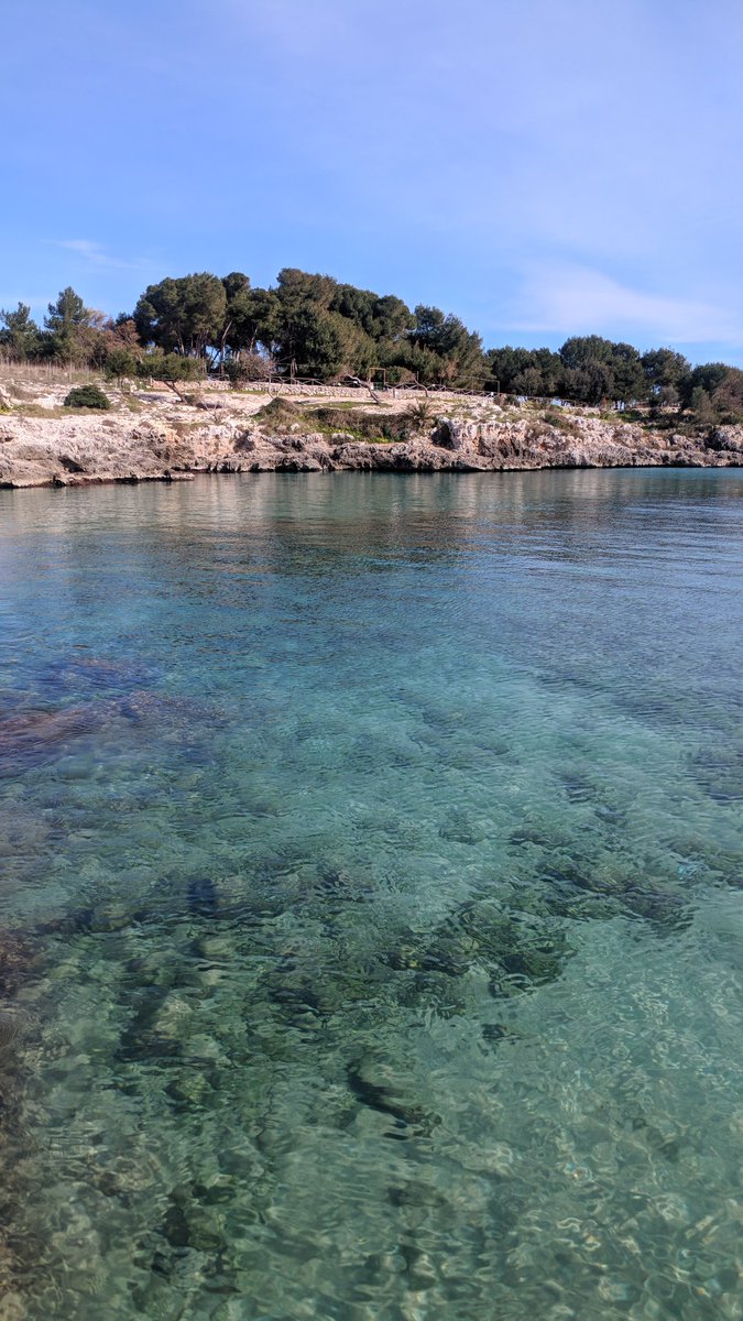 ☀️ Assaggi d'estate

✅ Ieri un bellissimo spot per il nostro #Salento, soprattutto dopo le notizie di un possibile crollo del turismo a causa del #Coronavirus.

🙏 Speriamo che le cose possano risollevarsi, perché noi senza turismo non andiamo da nessuna parte!

#Puglia #Travel