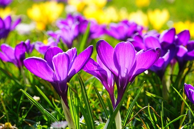 fhdoorwerth's tweet photo. Vandaag start de LENTE 😍 https://t.co/6DqNIGSOV1