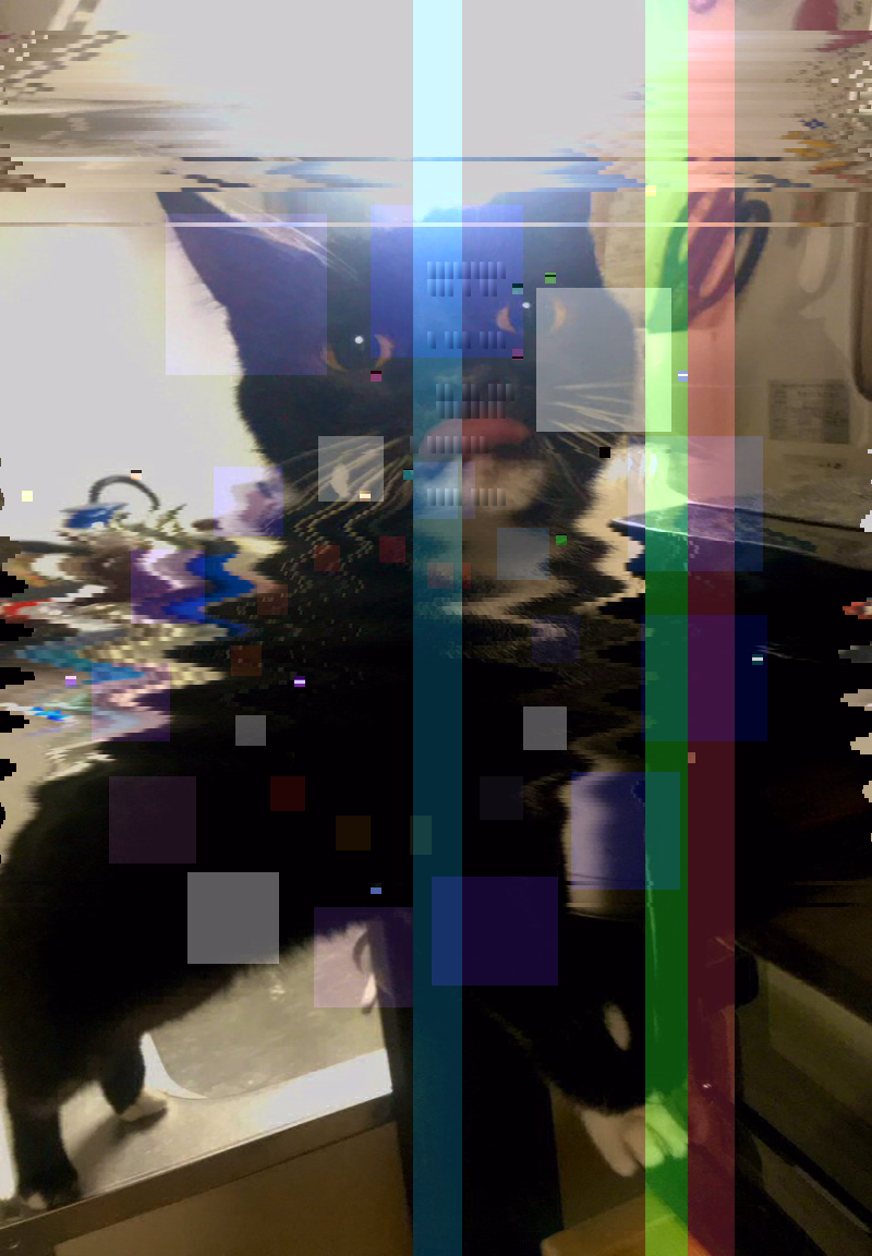 😪🚰 cat glitch bar nodejs cosine generative codeart color bot Origin img by @muddycat_atami