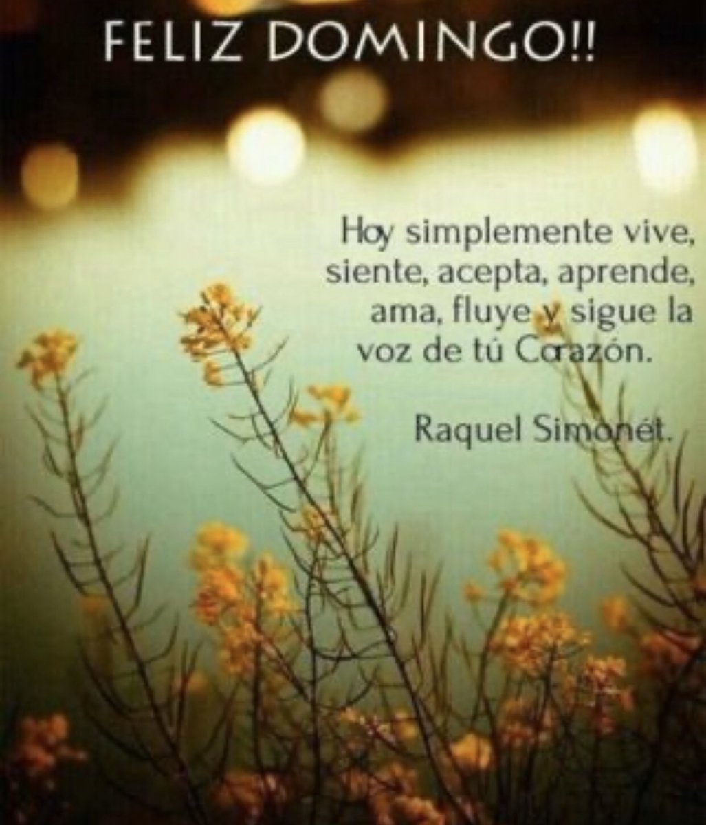 ampantusana's tweet photo. Feliz domingo https://t.co/eelhanZvdo