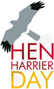 Mad for Wildlife tweet media