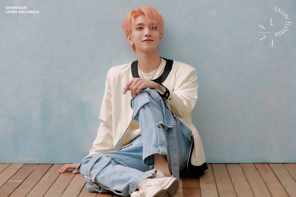 ғɪᴇ Ar Twitter Seventeen S Birth Flower Based On The Korean 탄생화 Pledis 17 Seventeen ғɪᴇ Ar Twitter Seventeen S Birth Flower Based On The Korean 탄생화 Pledis 17 Seventeen