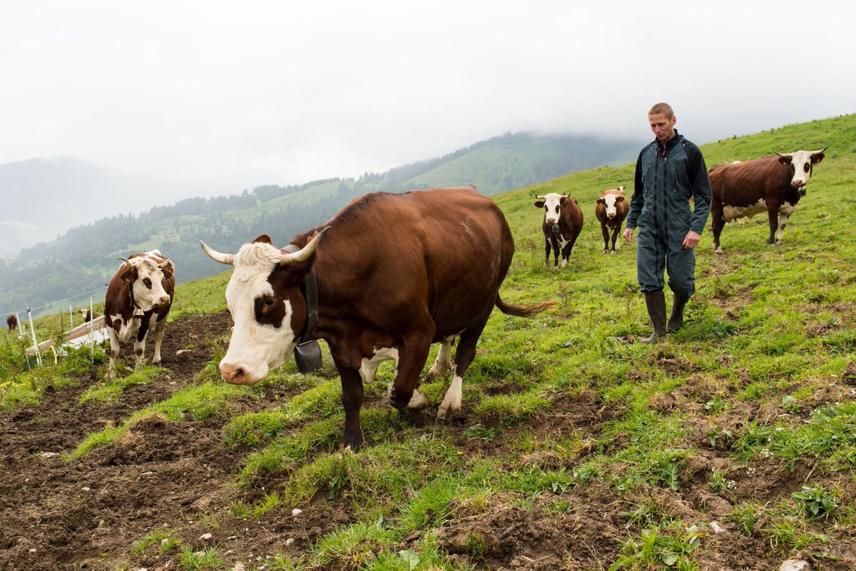 « Salon de l’agriculture : les Français invités à débattre de l’avenir ! »
Avec La Mémère, nous nous sommes engagés pour une agriculture durable, équitable et 100% bio.
À vous de prendre part au débat ! 
#LaMémère bit.ly/3a3ylql