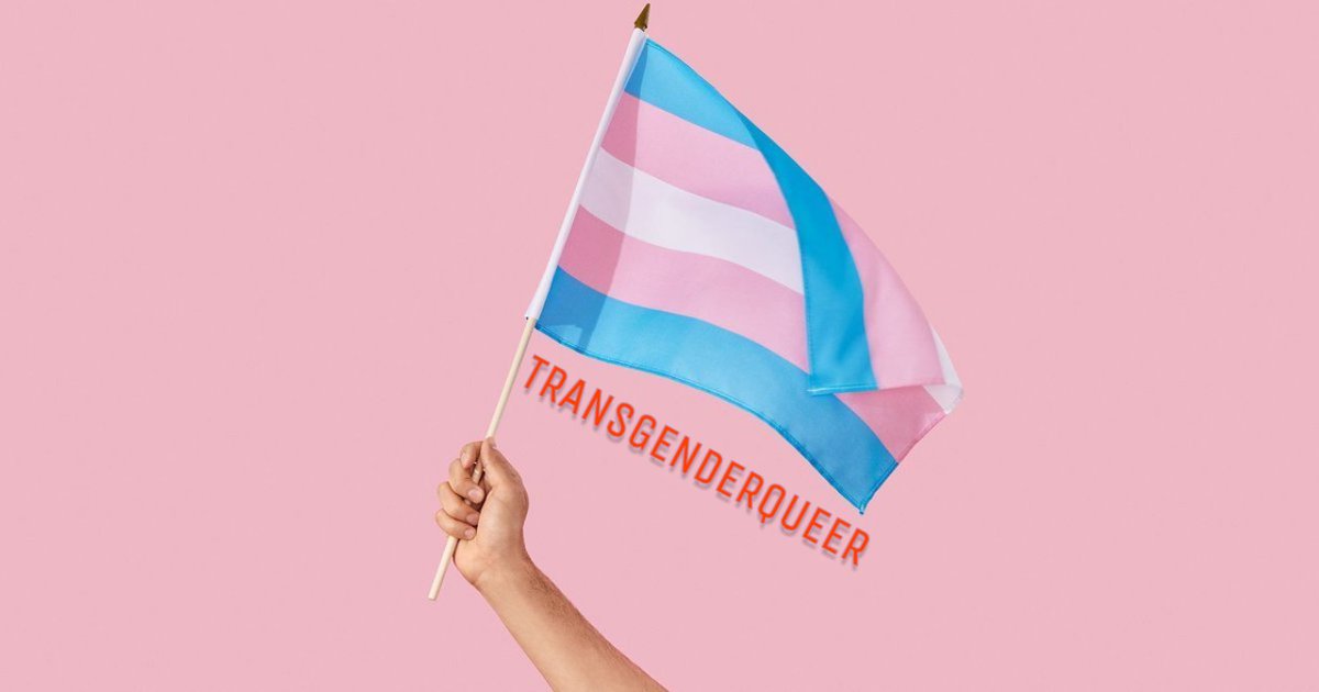 freetransright's tweet photo. <2월 트랜스해방전선 활동 보고> 

*

2020.02.04 "한국군 최초 성별정정트랜스젠더 군인지원을 위한 시민사회공동대책위원회" 1차 회의 참여

2020.02.04 대한민국 국회 국민동의청원: 텔레그램에서 발생하는 디지털성범죄 해결에 관한 청원 참여 독려 https://t.co/nXxNZgJI39