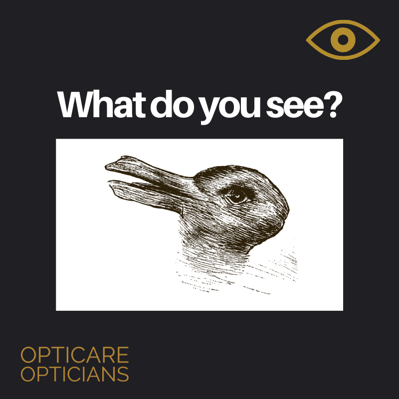 opticareltd's tweet photo. What do you see?

Leave your answer in the comments! #OpticarePuzzle https://t.co/Cqm1DV5H7o