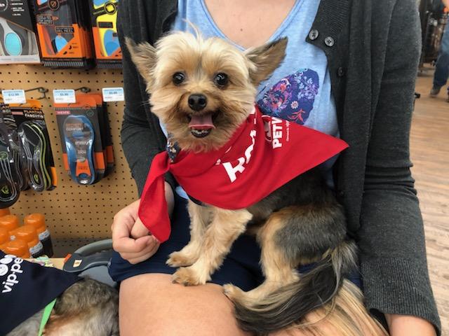 VipPetCare's tweet image. Jake visited our staff at the Tractor Supply Co. in Gainesville, FL! Is your fur-baby current on their vaccines and preventative medication? Find a clinic location near you: hubs.ly/H0n68jB0
#VIPPetcare #HealthyHappySafe #TractorSupply #PetVet