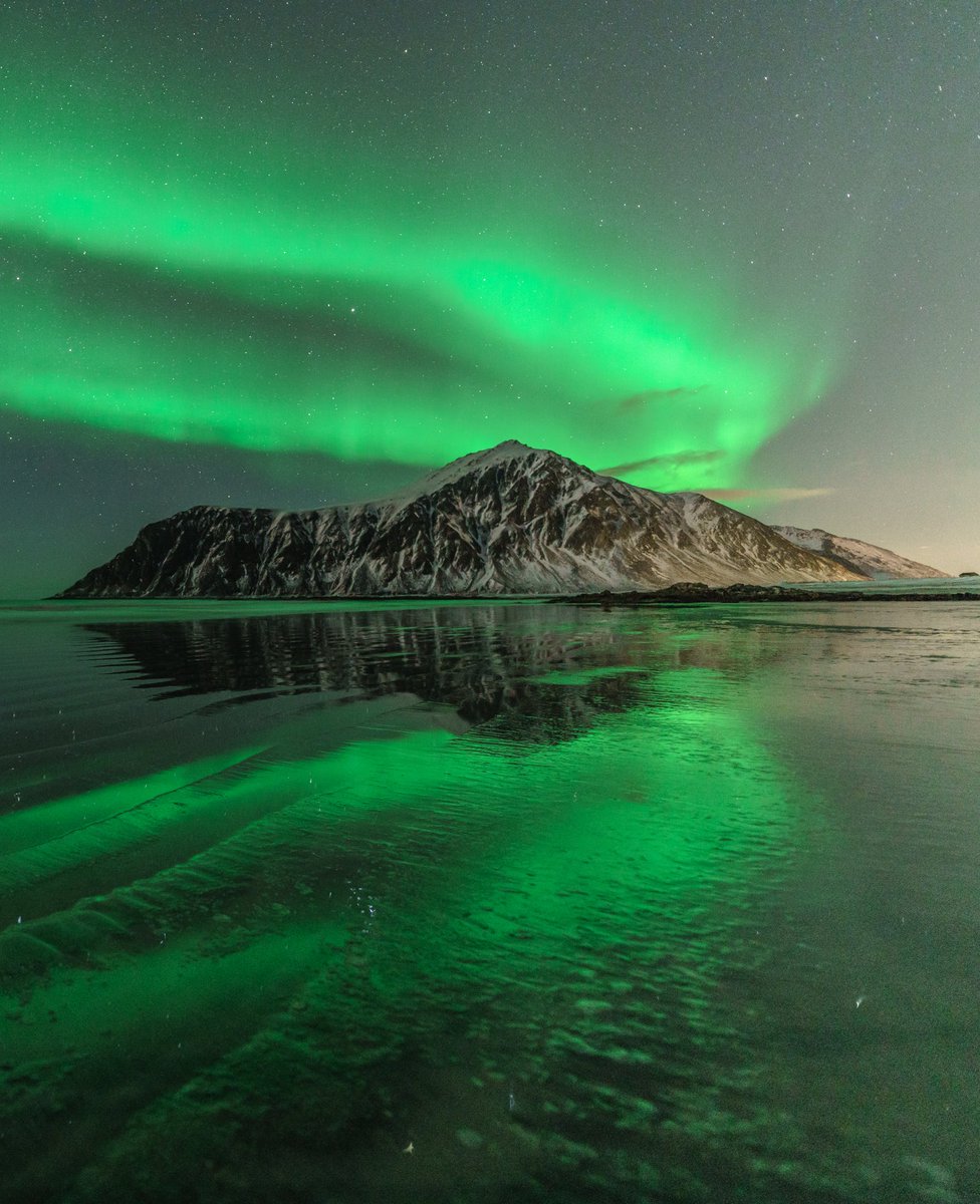 Judith Anton tweet media