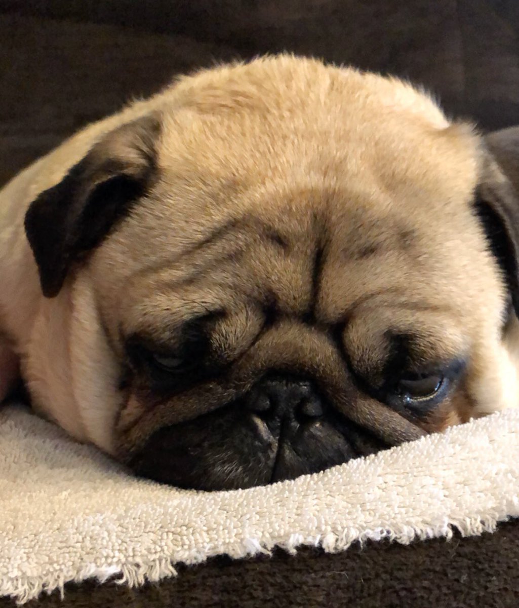 cake_hoarder's tweet image. gm can I get a vibe check?